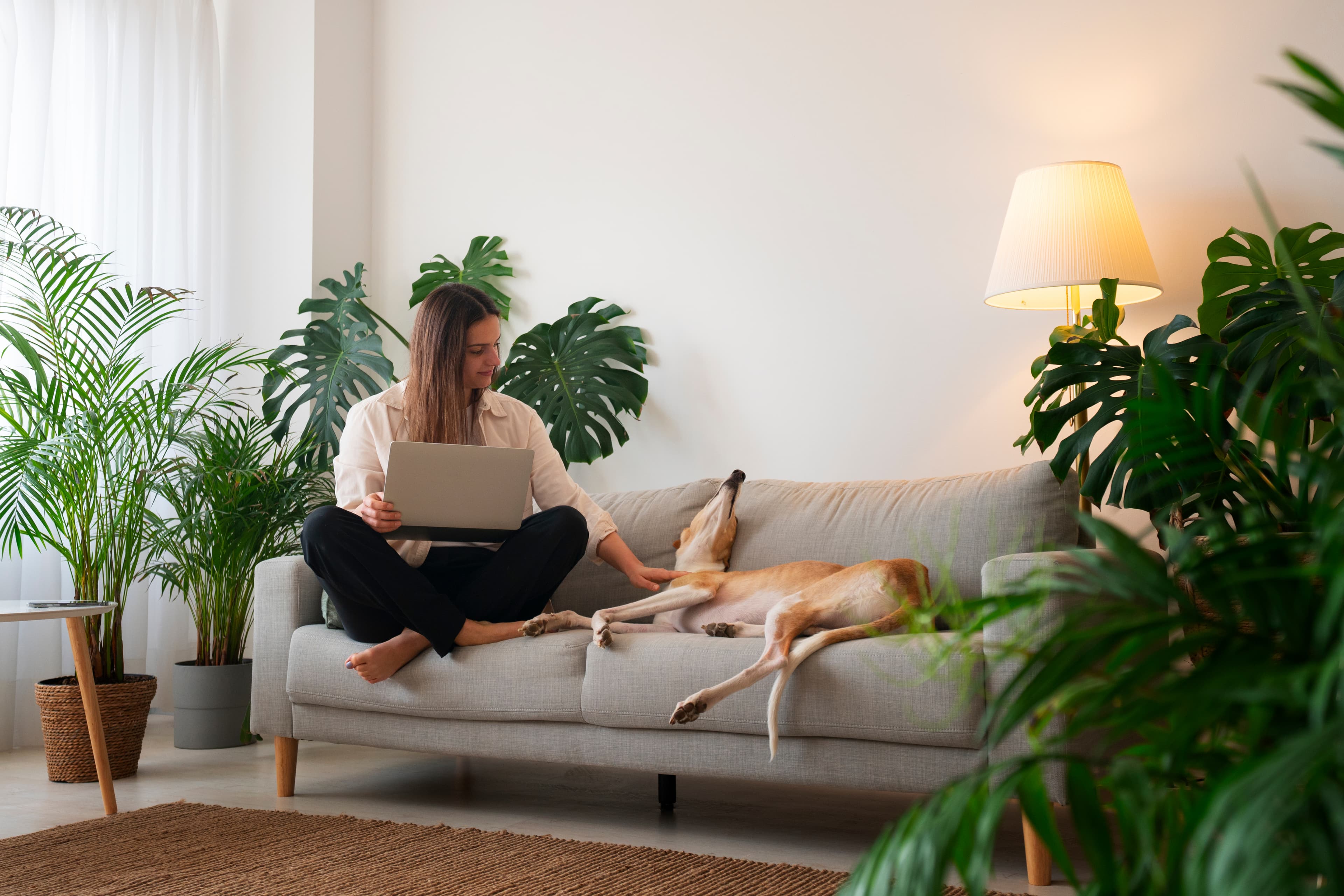 Lifestyle & Home