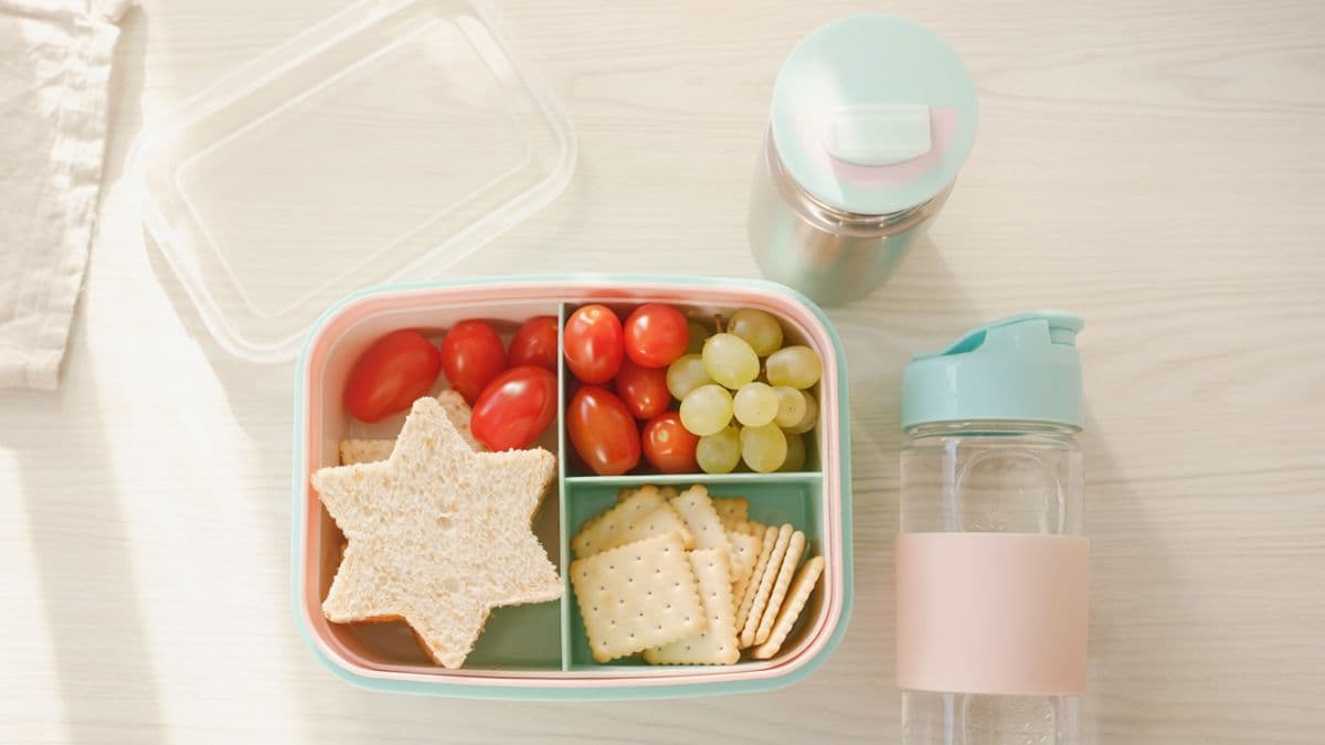 15 Healthy Lunch Ideas for Kids That Make Mealtime Fun