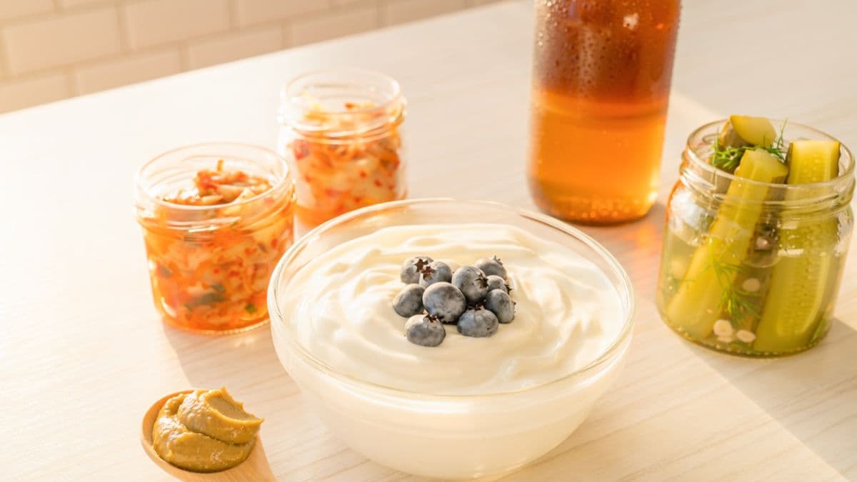 25 Best Probiotic Foods for Gut Health: Complete List with Serving Sizes & Benefits