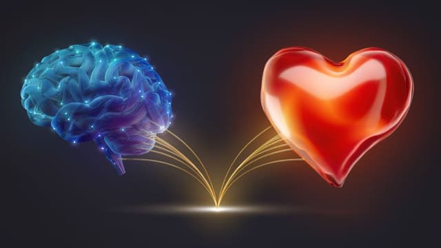 Balancing The Silent Battle Between Logic and Emotion When Making a Decision