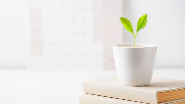 How to Build Good Habits That Stick: The Science-Based 66-Day Rule